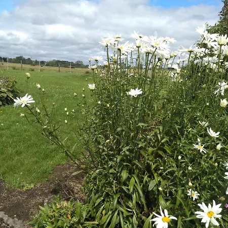 The Crossings 호텔 *