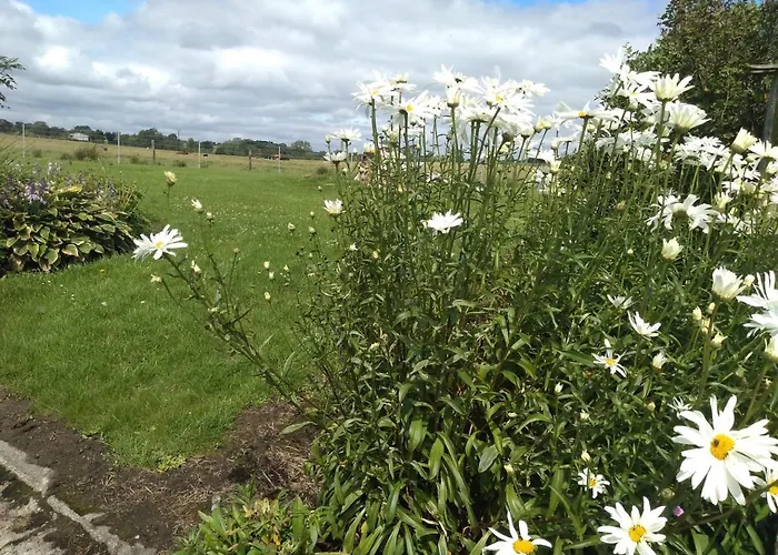 The Crossings ホテル *